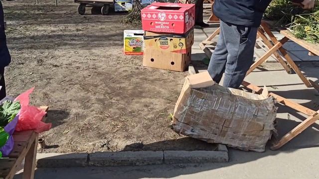 Вот Они Цветы Район Подсолнуха))) смотреть онлайн