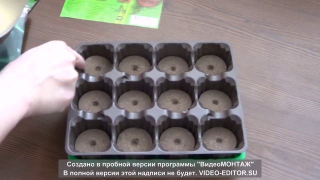 Посадка семян на рассаду. Два способа.