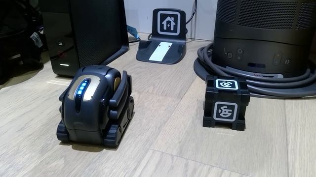 What Can Anki Vector Do [Part 1]