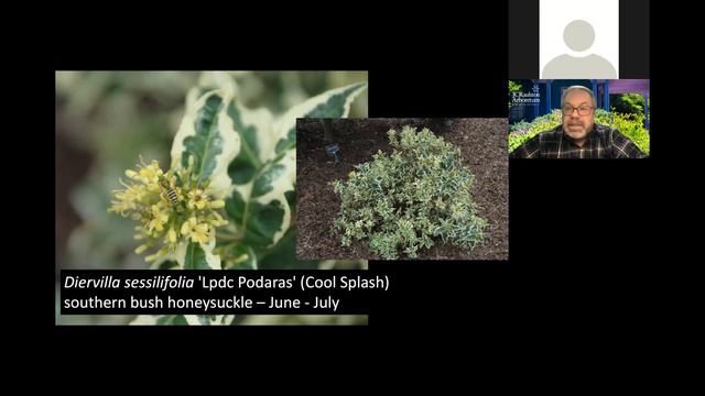 "Nontraditional Pollinator Plants" смотреть онлайн