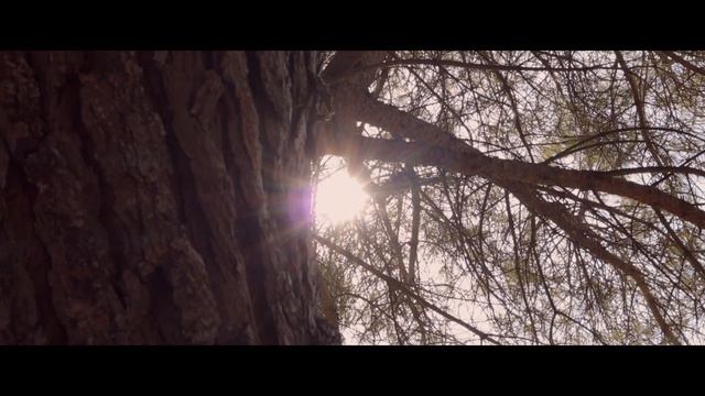 Wrecking Ball - Miley Cyrus (Violinist Maxim Distefano) (Music Video) смотреть онлайн