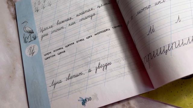 Чудо-пропись. Комплект 4-х частях (Школа России). Илюхина В. А. смотреть онлайн