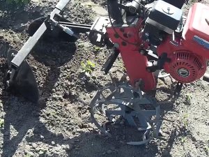 Окучиваем картофель мотоблоком.