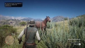 Где найти мустанга в рдр2