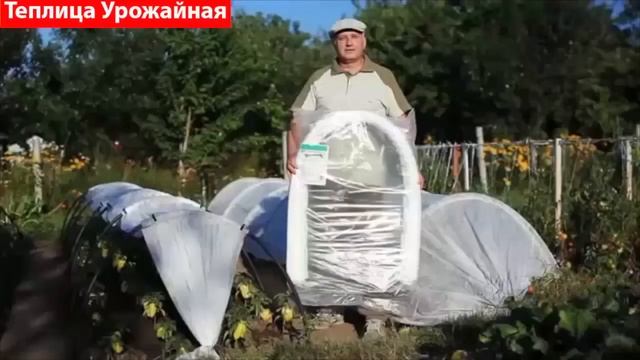 Теплица Урожайная смотреть онлайн