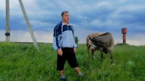 ?ЛЕЧЕНИЕ СОСКОВ ВЫМЕНИ У КОРОВЫ