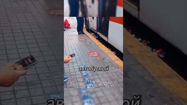 Умный бездомный