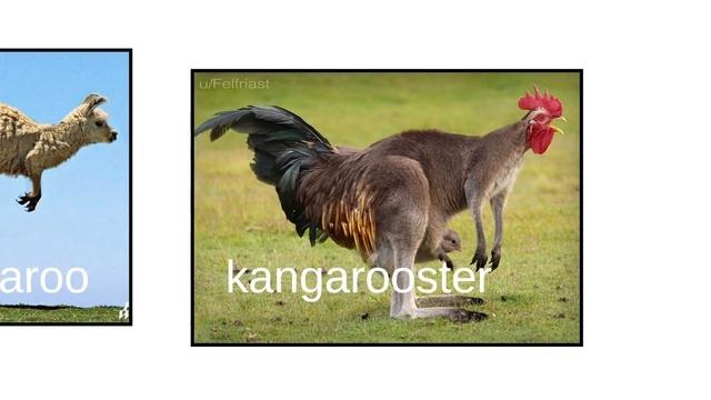 Internet Names for Hybrid Animals (Pt. 2) смотреть онлайн