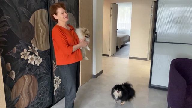 Aquafloor Stone | Квартира в японском стиле