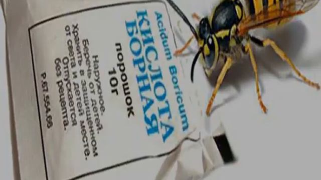 Борная кислота от ос смотреть онлайн