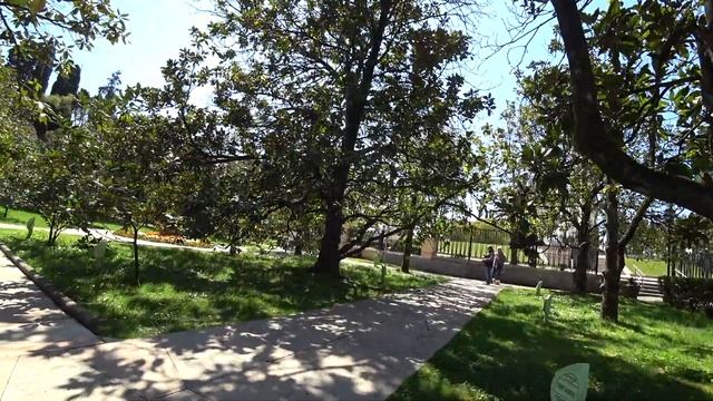 СОЧИ. Центр ☼ Парк "Ривьера" ☼ Пляж "Ривьера" ☼ Набережная реки Сочи .. смотреть онлайн