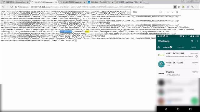2018 Envio Whatsapp Massa PHP API JSON XML смотреть онлайн