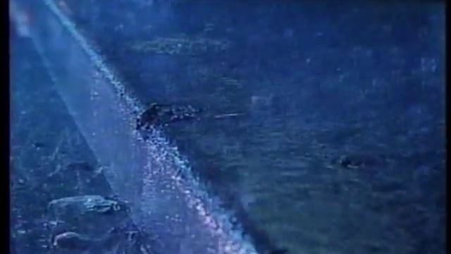 川村かおり 主演映画 『東京の休日』 Highlight Clip（バタフライ篇） смотреть онлайн