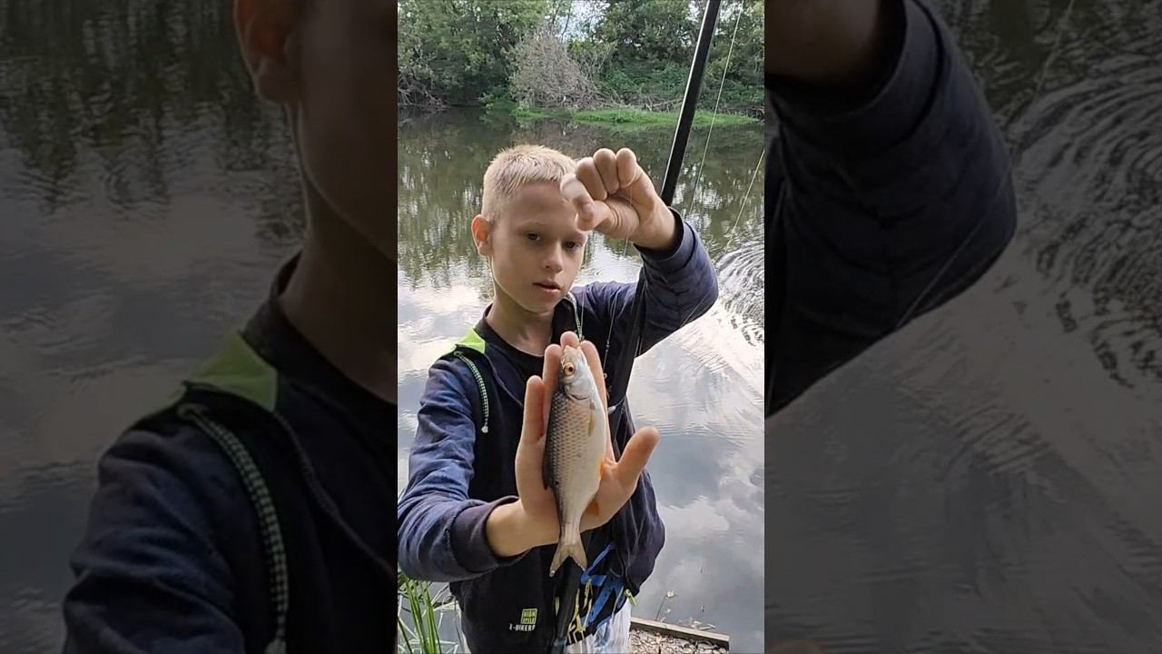 пшеница лучше мотыля. #viral #рыбалка #fishing #top #рыбаки #рыба #насадки #поплавок #удочка #рек смотреть онлайн
