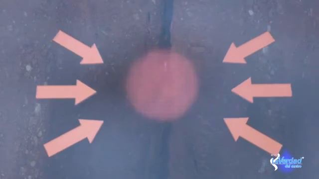 ¿Sabes cómo funciona la escala de Richter? | La Verdad del Centro смотреть онлайн