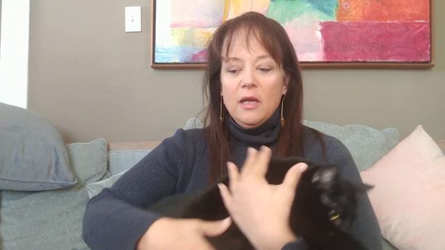 The Shamanic Healing Oracle &The Empathic Oracle decks- a very brief introduction смотреть онлайн