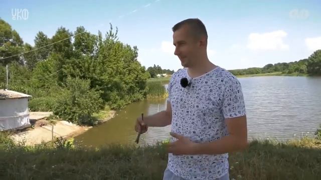 Волосівці Рідний вікенд ТРК Місто смотреть онлайн