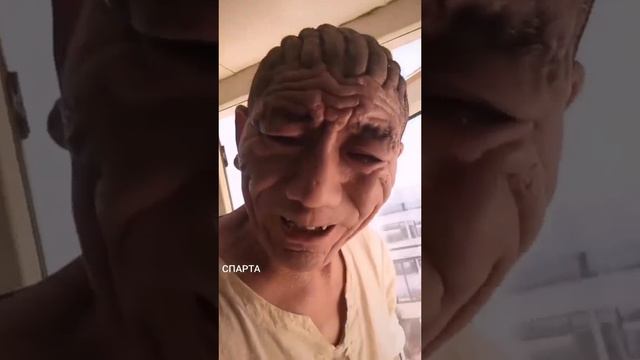 Шарпей по гороскопу смотреть онлайн