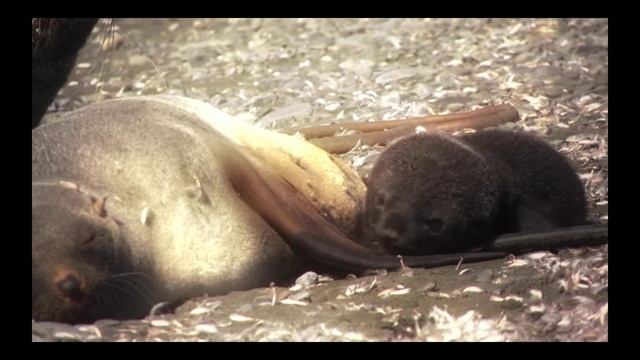 T C A 7 смотреть онлайн