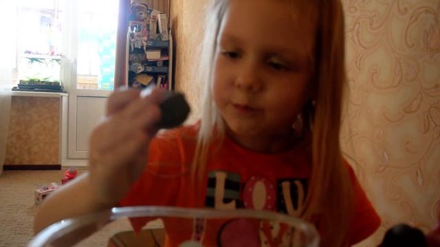 Рассказ про черепашек на канале Даша ТВ смотреть онлайн