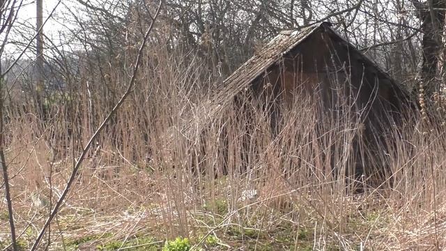 Купили участок под виноградник и не только. Обзор владений смотреть онлайн