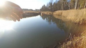 Рыбалка в декабре по открытой воде на боковой кивок супер без мотылку, Лесотку.