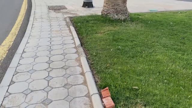 Такую Медину вам не покажут, едем в Мединский университет Al Madinah Islamic University
