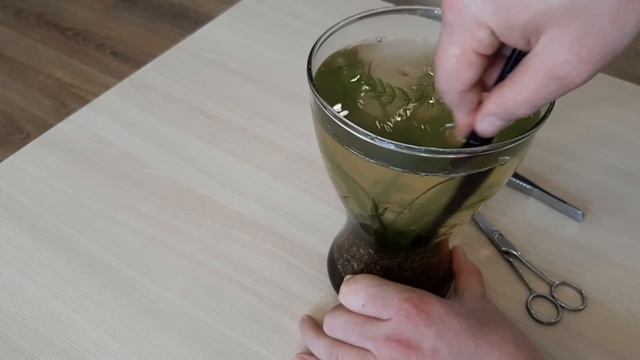 Чистка нано аквариума смотреть онлайн
