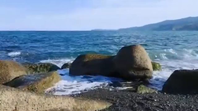 Уставшая каменная черепаха) слушает музыку волн .Japan.Ocean.May, 2021.Tired stone turtle listening смотреть онлайн