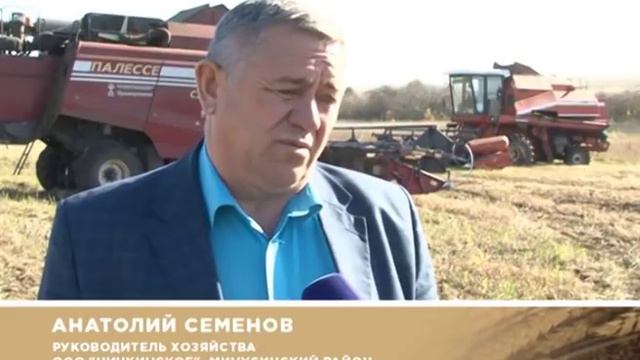 О хлебе насущном от 13.10.18 смотреть онлайн