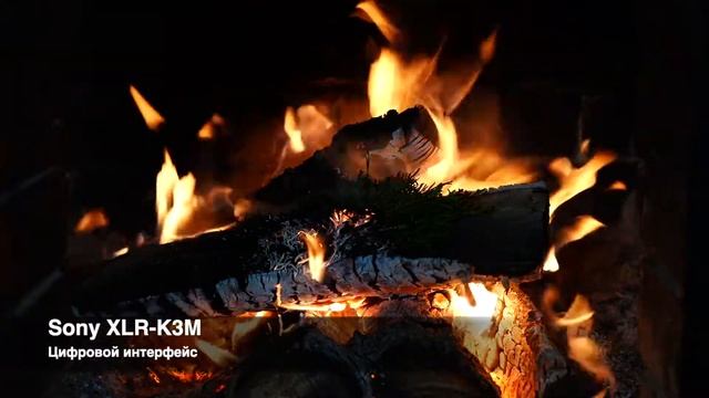 Цифровой и аналоговый интерфейс Sony XLR-K3M смотреть онлайн