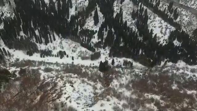 Добро пожаловать в Табаган, YETI PARK смотреть онлайн
