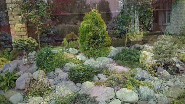 Красивые хвойные композиции в ландшафтном дизайне Красивый сад с хвойными, Гортензиями, Хостами смотреть онлайн