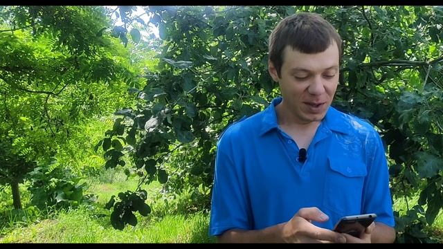 ОБМАН С ПОКУПКОЙ САЖЕНЦЕВ! Видеоотзыв о "Клубе садоводов профессионалов" смотреть онлайн