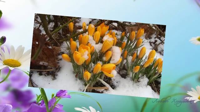 Весенние краски 1 смотреть онлайн