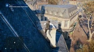 Assassin's Creed Unity баг текстур