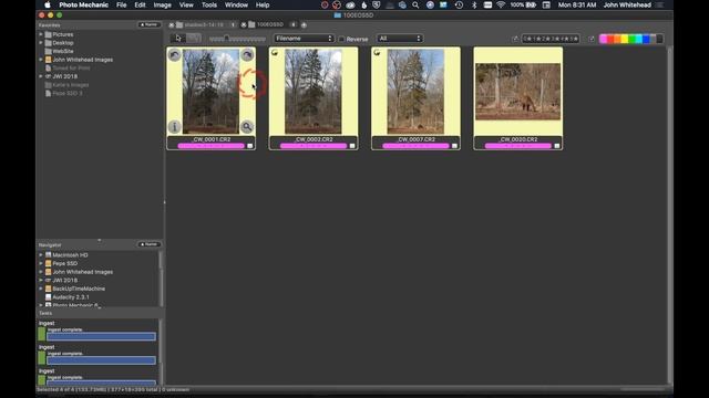 Photo Mechanic 6-A Quick Overview смотреть онлайн