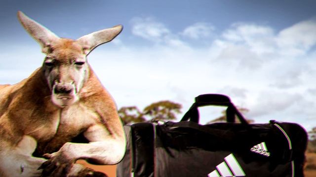 АВСТРАЛИЯ! (Австралийский реп) смотреть онлайн