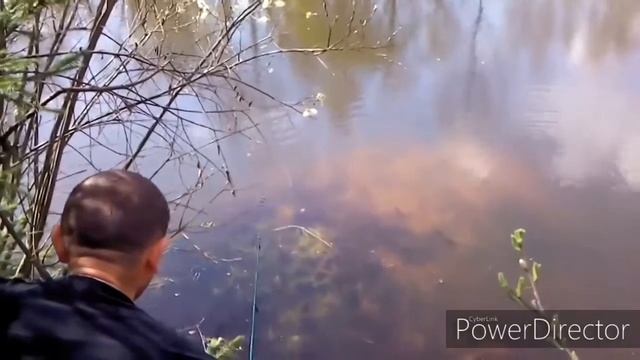 РОТАН ГОЛОВЕШКА НЕОБЫЧНАЯ, АЗАРТНАЯ ЛОВЛЯ. смотреть онлайн