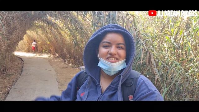 Abu Dhabi Natural Wetland Reserve Free Entry Tourist Place Travel Vlog Tourist Attraction Al Wathba смотреть онлайн