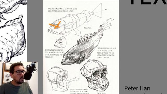 DRAW FISH To Get Better at Dynamic Sketching, Contour Lines, Gesture, and Caustics смотреть онлайн