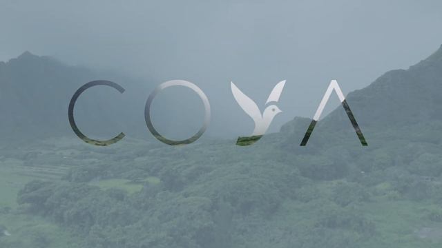 Расслабляющая медитация на изобилие, любовь и радость смотреть онлайн