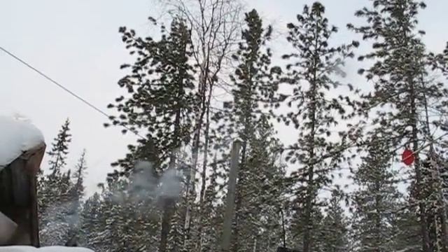 Следы охоты выдры на ондатру, подул северный ветер. смотреть онлайн