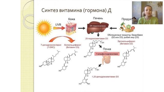 Конференция врача-терапевта, косметолога Любови Иванченко смотреть онлайн