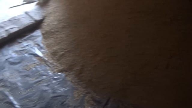 Забрали корову, и привезли зерно овёс и ячмень плёнку под зерно. смотреть онлайн