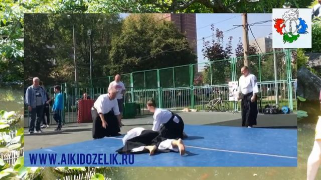 Техника Айкидо. Дзю Ваза. смотреть онлайн