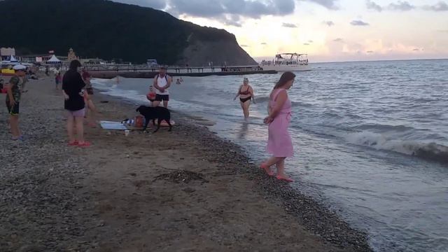 ЧЁРНАЯ СОБАКА РАЗВЛЕКАЕТ ОТДЫХАЮЩИХ НА ПЛЯЖЕ АРХИПО-ОСИПОВКИ. смотреть онлайн