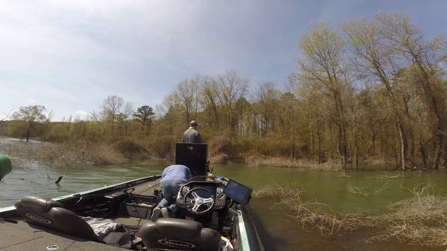 Heartland Fishing Team ABTT @ Greers Ferry 2019 смотреть онлайн