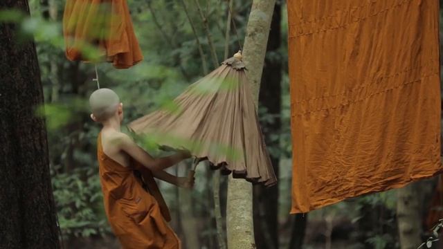 Introducing True Little Monk смотреть онлайн