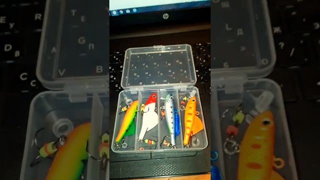 Обзор ратлины Saurus китайские с Aliexpress #Убийцащуки#рыбалка смотреть онлайн